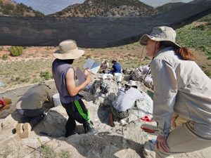 Paleontology digs demonstrating fossil casting, fossil lab preparation.